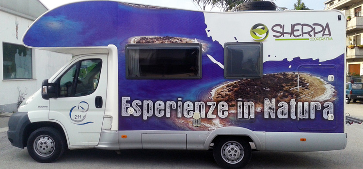 decorazione camper - car wrapping